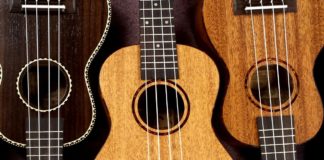 3 of the best beginner ukuleles