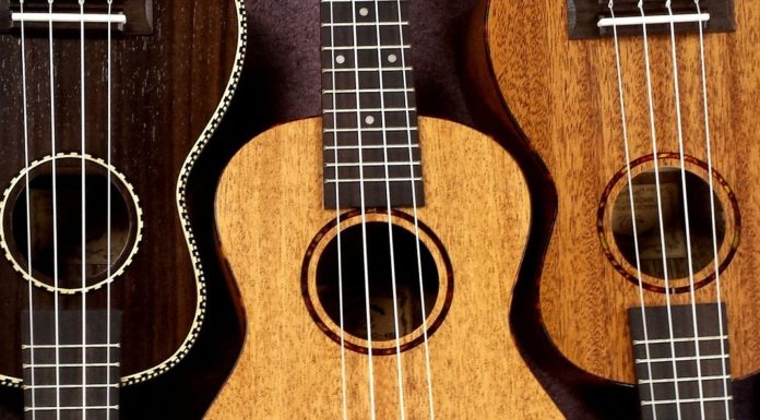 3 of the best beginner ukuleles