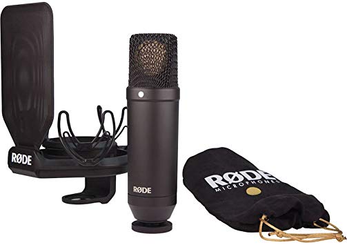 Microphones 101: In-Depth Guide to Recording Studio Microphones 1